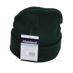 Green Beanie 2