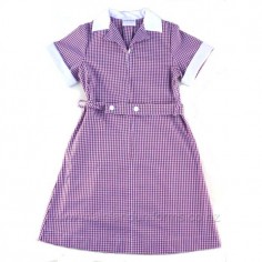 Red/White Gingham Dress