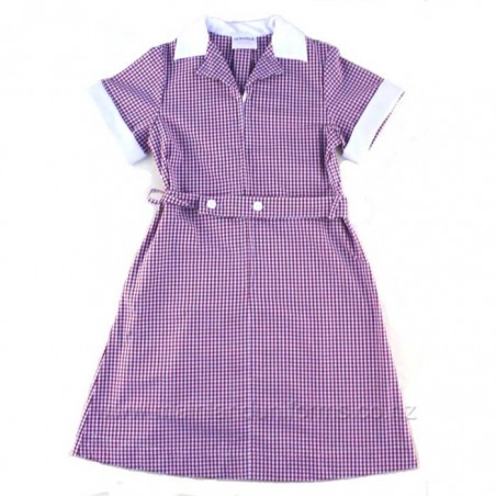 Red/White Gingham Dress