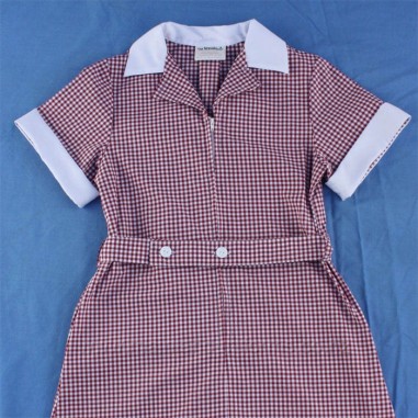 Red/White Gingham Dress