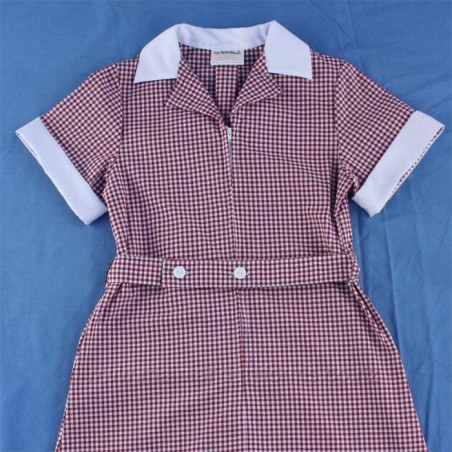 Red/White Gingham Dress
