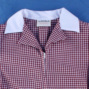 Red/White Gingham Dress