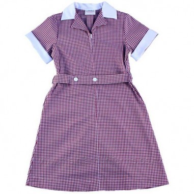 Red/White Gingham Dress