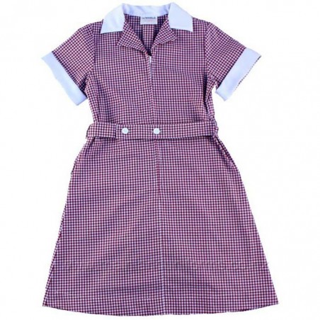 Red/White Gingham Dress