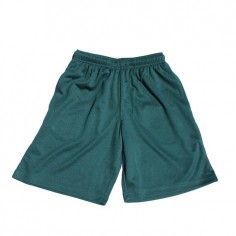 Green Airmesh PE Shorts 2
