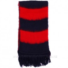 CGHS Scarf 2