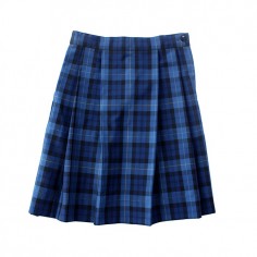 Mt Pleasant Snr Girls Skirt 2