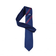 CGHS Angel Tie(CGHS Y12) 2