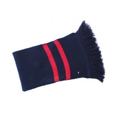 AAS Scarf 2