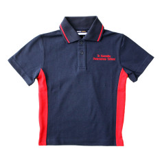 Swannanoa Polo 2