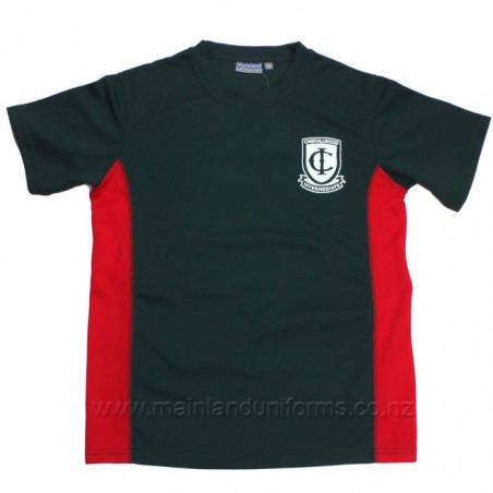 Chisnallwood PE top