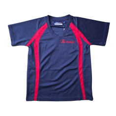 Hillview PE top
