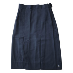 Breens New Skirt