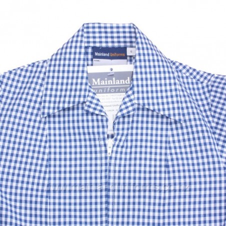 Blue/White Gingham Dress